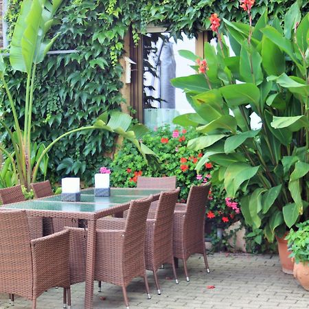Gaestehaus Koen - Fewo Farfalle Zeltingen-Rachtig Ngoại thất bức ảnh